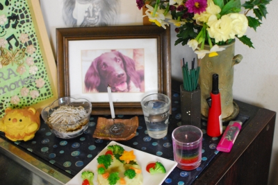 ¾¤¤·¾å¤¬¤ì¢ö