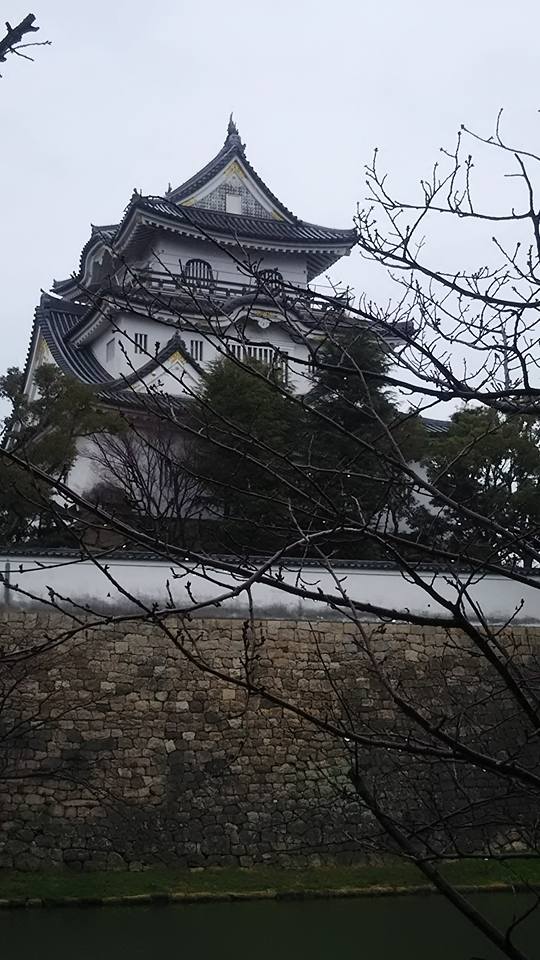 Î路¤Î´ßÏÂÅľë