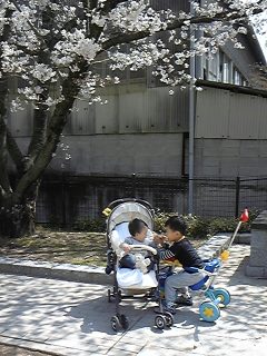 110410_105557_ed.jpg
