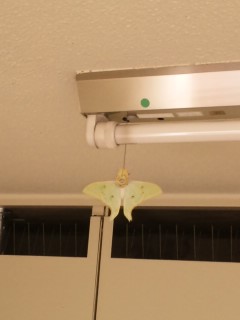 130812_1510~01.jpg