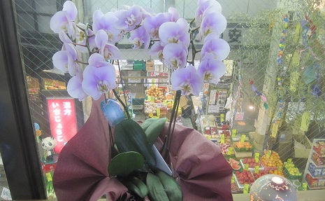 お花