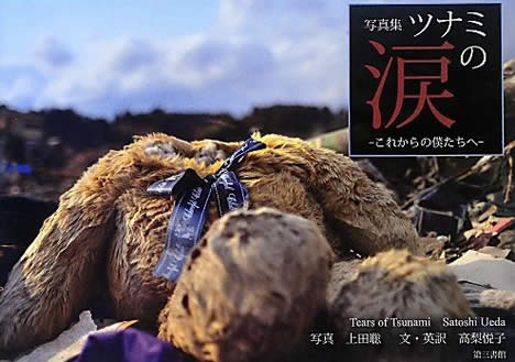 ツナミの涙