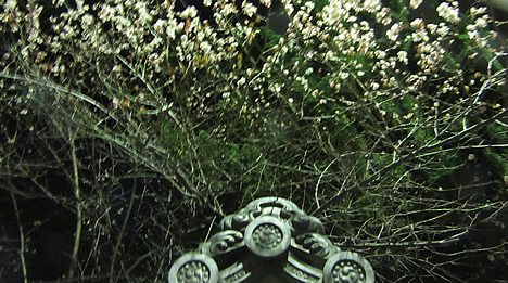 鴨沂高校
