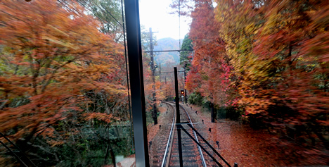 叡電紅葉のトンネル