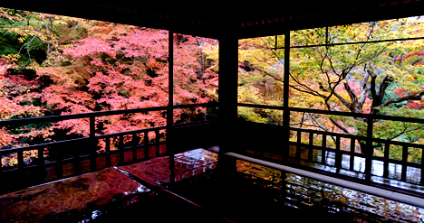 瑠璃光院 紅葉