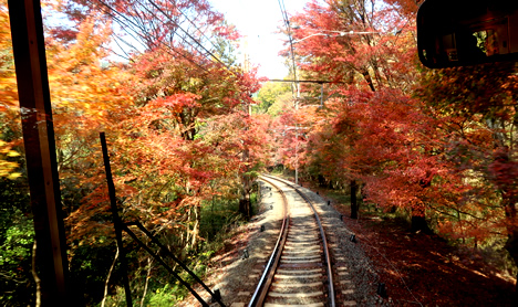 紅葉のトンネル