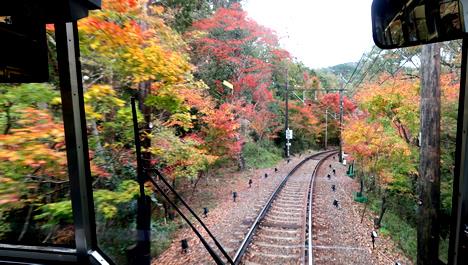 紅葉のトンネル