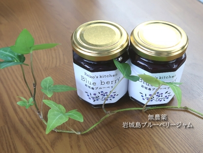 無農薬ブルーベリージャム