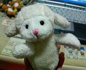200802282122000.jpg