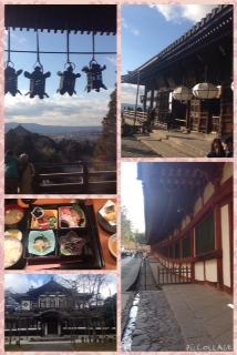 PicCollage