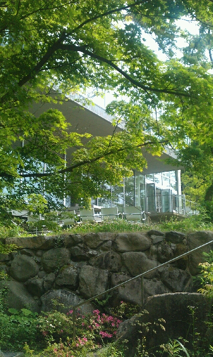 IMAG0797.jpg