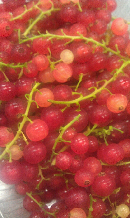 IMAG0820.jpg