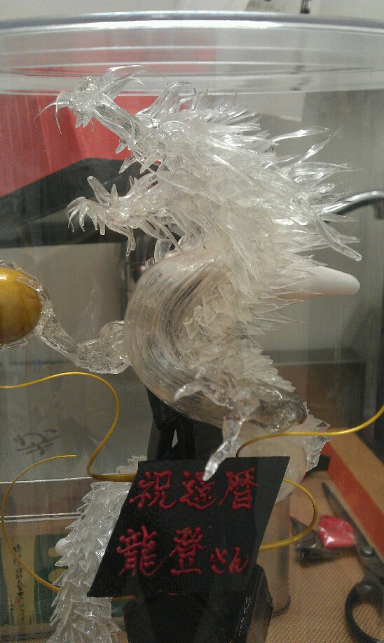 IMAG0910.jpg