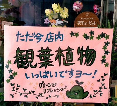 お部屋をジャングルにしよう お花屋さんのつぶやき