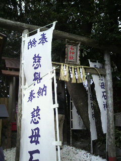 2012021211230001.jpg