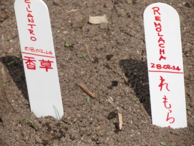 野菜の漢字