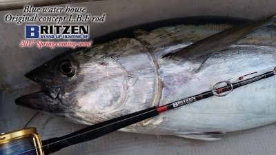 BRITZEN-511SHS stand up huntting SP