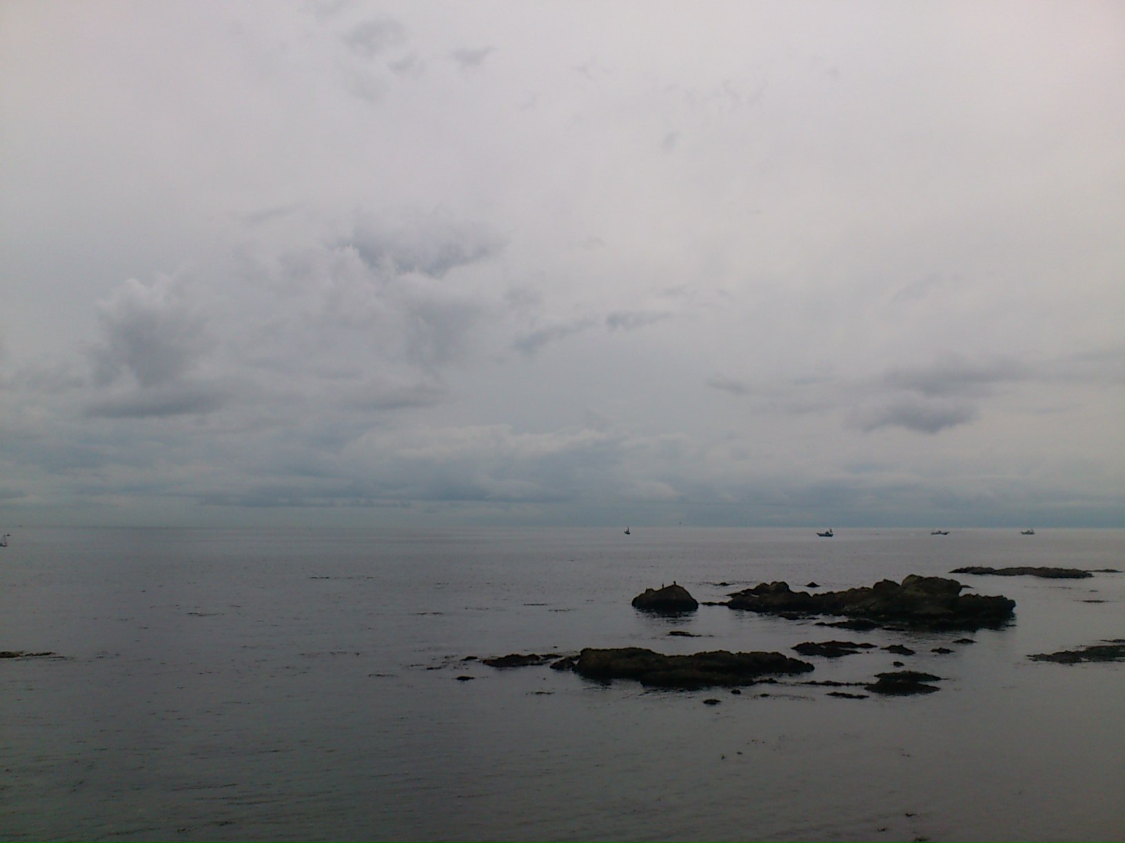 DSC_0231.JPG