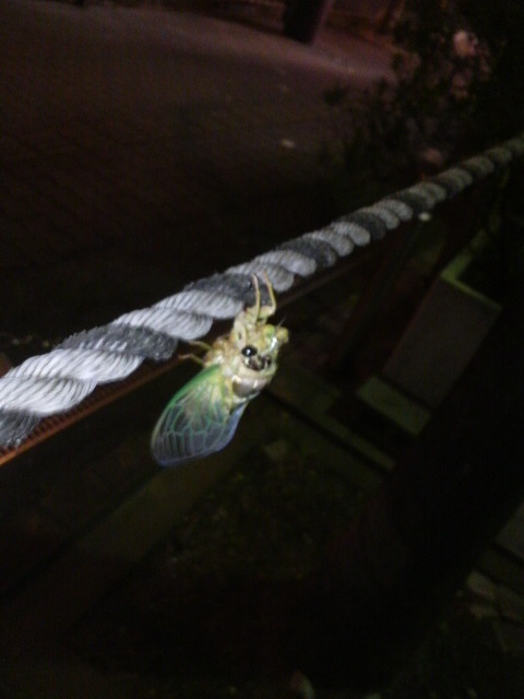 2011072022110000.jpg