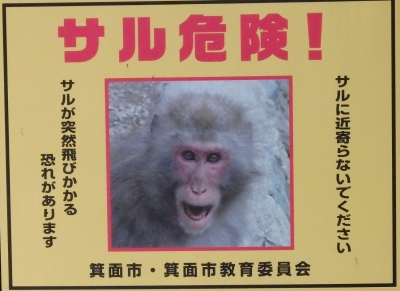 ÀÄǯ¥Ö¥í¥Ã¥¯