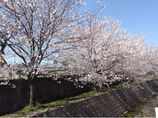 iPhoneImage.png