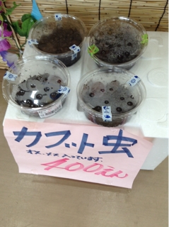iPhoneImage.png