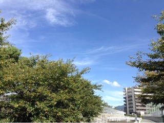 iPhoneImage.png