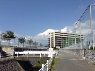 iPhoneImage.png