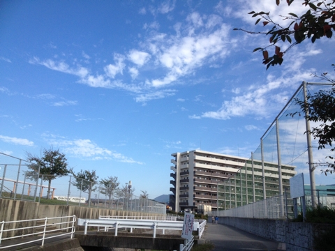 iPhoneImage.png