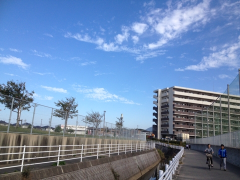 iPhoneImage.png