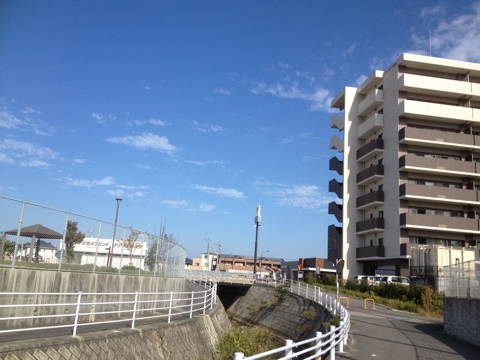 iPhoneImage.png
