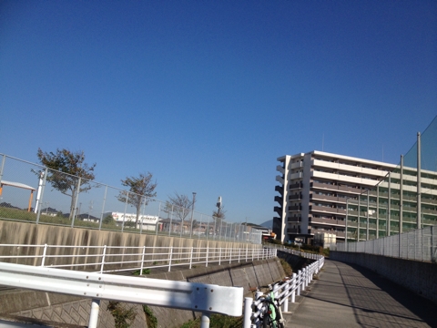 iPhoneImage.png