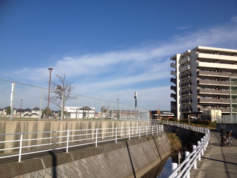iPhoneImage.png