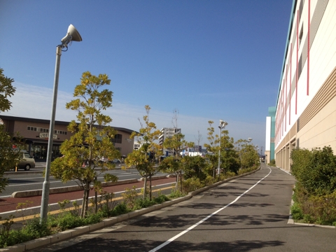 iPhoneImage.png