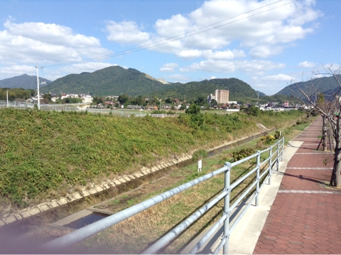 iPhoneImage.png