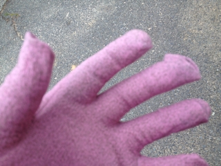 iPhoneImage.png