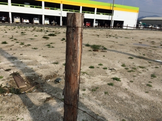 iPhoneImage.png