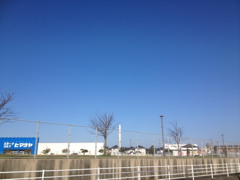 iPhoneImage.png