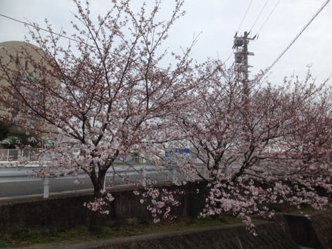 iPhoneImage.png