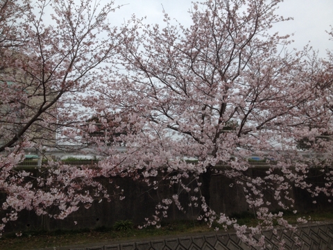iPhoneImage.png
