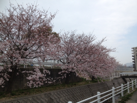 iPhoneImage.png