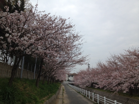 iPhoneImage.png