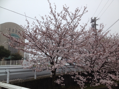 iPhoneImage.png