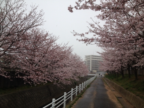 iPhoneImage.png