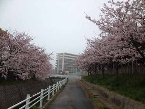 iPhoneImage.png