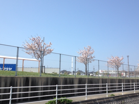 iPhoneImage.png