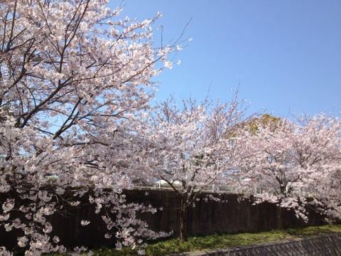 iPhoneImage.png