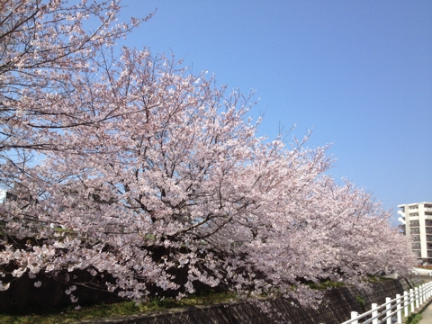 iPhoneImage.png
