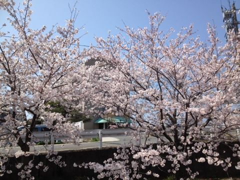iPhoneImage.png