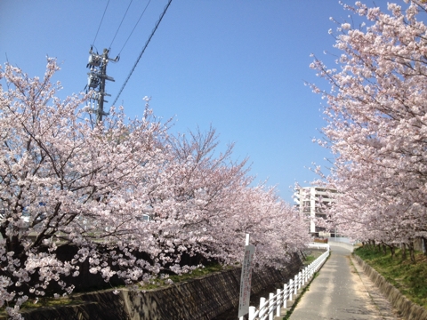 iPhoneImage.png